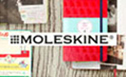 MOLESKINE
